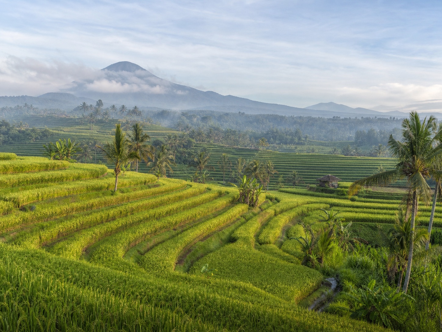 Jatiluwih rice terraces in Bali